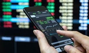 وپایا؛ اولین عرضه اولیه سال 1404