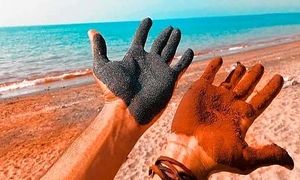 دکاپست حامی کمپین بازگشت صدف و ماسه به جزیر هرمز شد