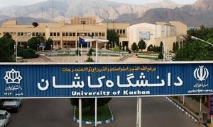 مارمولک در غذای دانشجویان + تصویر