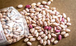 قیمت هر کیلو لوبیاچیتی از نیم میلیون تومان گذشت