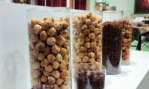 گزارش تصویری حضور برندهای صنایع غذایی در ایران اکسپو ۲۰۲۵
