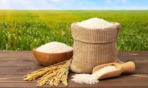 قیمت برنج بالا رفت / هر کیلو برنج بیش از 200 هزار تومان
