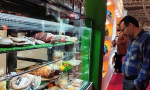 گزارش تصویری حضور ایلگار در ایران اکسپو ۲۰۲۵