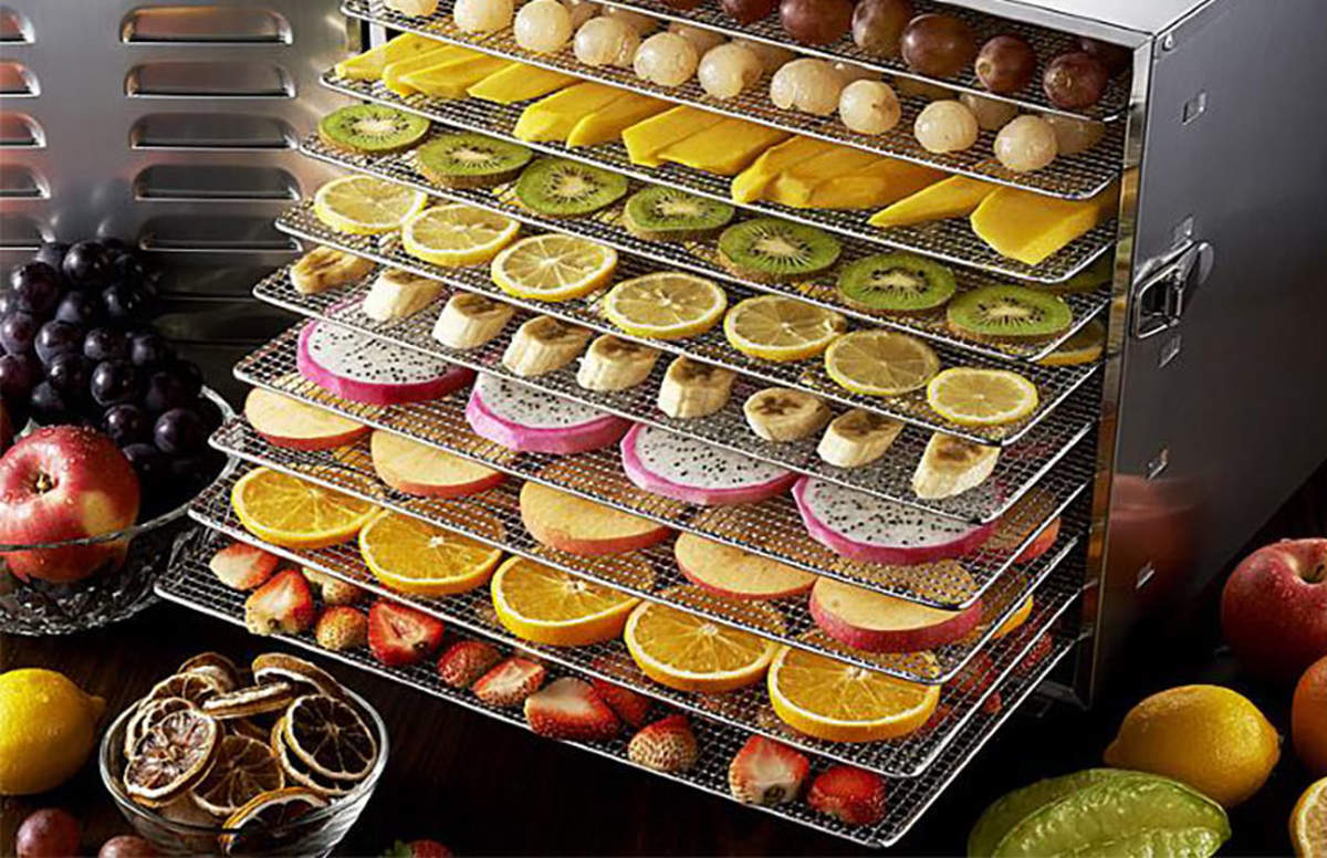 بهترین دستگاه خشک کن میوه مناسب فضاهای صنعتی