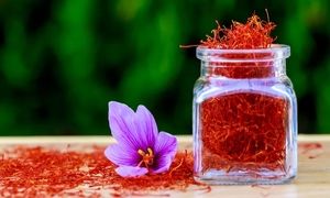 نوین زعفران نشان کیفیت از بلژیک گرفت