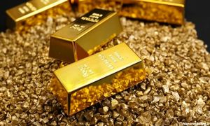 ثبت و راه اندازی طلاسی؛ از ایده اولیه تا اجرا
