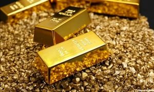 ثبت و راه اندازی طلاسی؛ از ایده اولیه تا اجرا