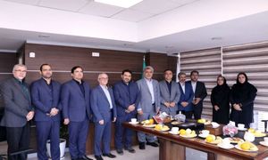 انتصاب در راس شرکت تامین سرمایه بانک مسکن