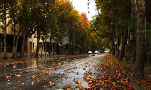 در منطقه 9 تهران خیابان کامل افتتاح شد
