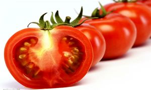 قیمت گوجه فرنگی هر روز گران تر از دیروز