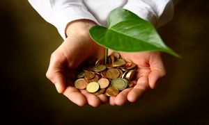 تجربه‌ی نیکوکاری با ویکی نیکی در ۱۲ نکته