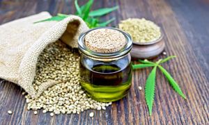 برنامه‌های شرکت پنبه و دانه های روغنی خراسان در سال جدید