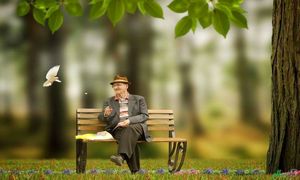 روی خوش زندگی به سالمندان و بازنشستگان