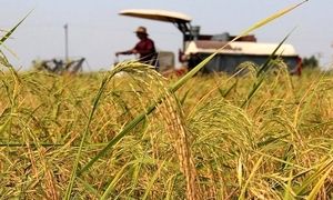 ارائه تسهیلات به اقشار روستایی و عشایر