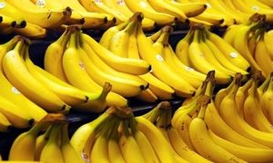 3000 تُن موز در گمرک ایران فاسد می‌شود؟